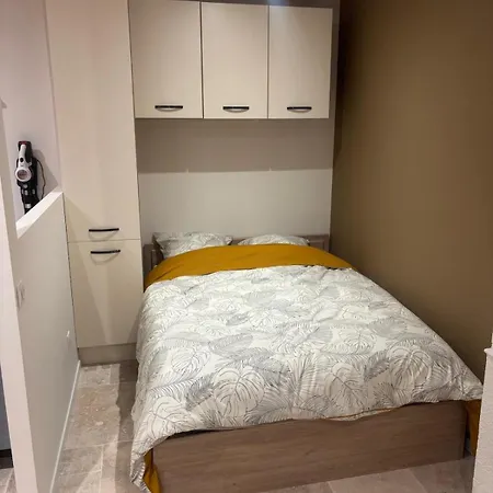 Apartment Charmant Appartement Nancy