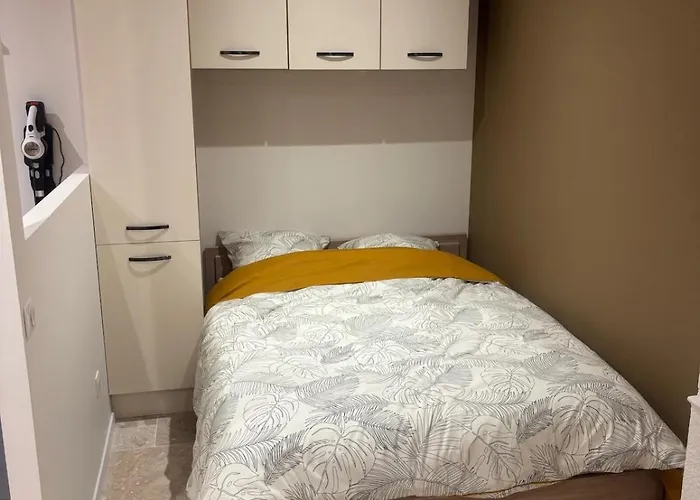 Appartamento Charmant Appartement Nancy